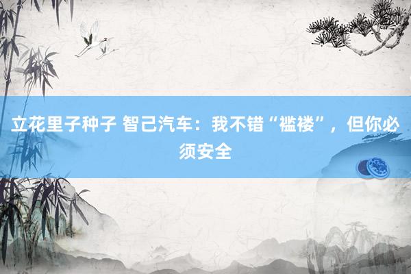 立花里子种子 智己汽车：我不错“褴褛”，但你必须安全