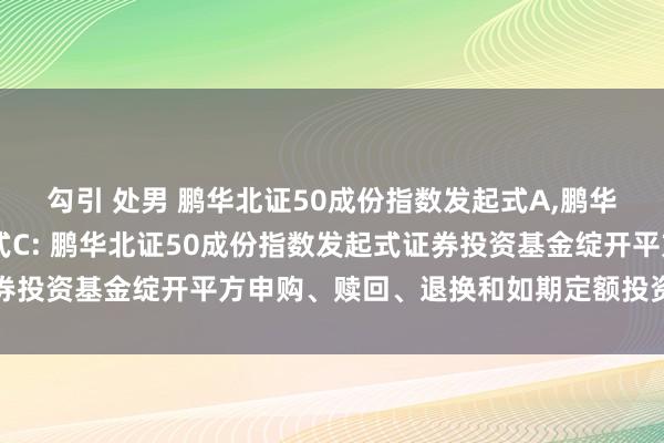 勾引 处男 鹏华北证50成份指数发起式A，鹏华北证50成份指数发起式C: 鹏华北证50成份指数发起式证券投资基金绽开平方申购、赎回、退换和如期定额投资业务的公告