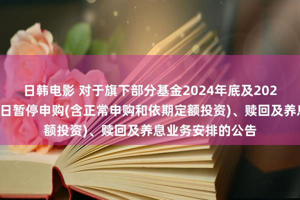 日韩电影 对于旗下部分基金2024年底及2025年非港股通交游日暂停申购(含正常申购和依期定额投资)、赎回及养息业务安排的公告