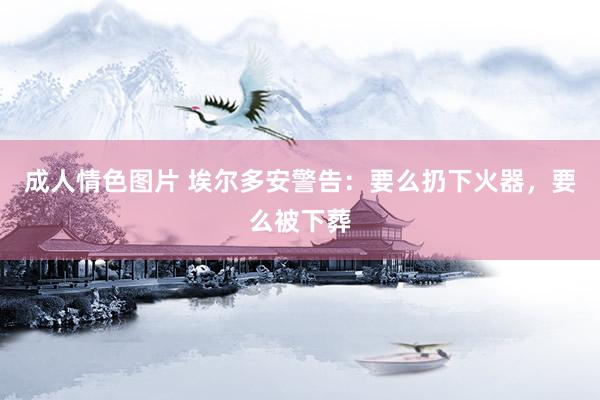 成人情色图片 埃尔多安警告：要么扔下火器，要么被下葬