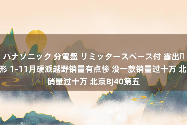パナソニック 分電盤 リミッタースペース付 露出・半埋込両用形 1-11月硬派越野销量有点惨 没一款销量过十万 北京BJ40第五