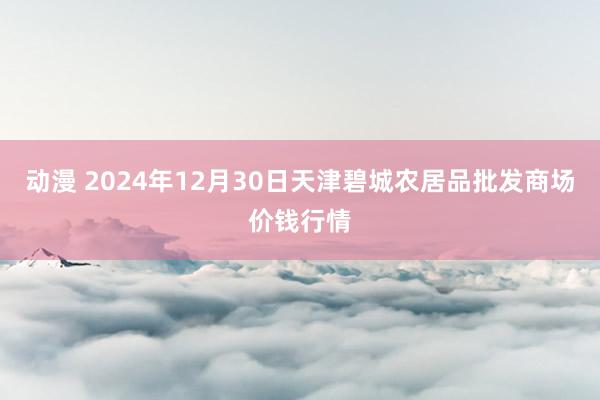 动漫 2024年12月30日天津碧城农居品批发商场价钱行情