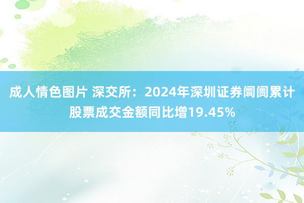 成人情色图片 深交所：2024年深圳证券阛阓累计股票成交金额同比增19.45%