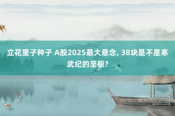 立花里子种子 A股2025最大悬念， 38块是不是寒武纪的至极?