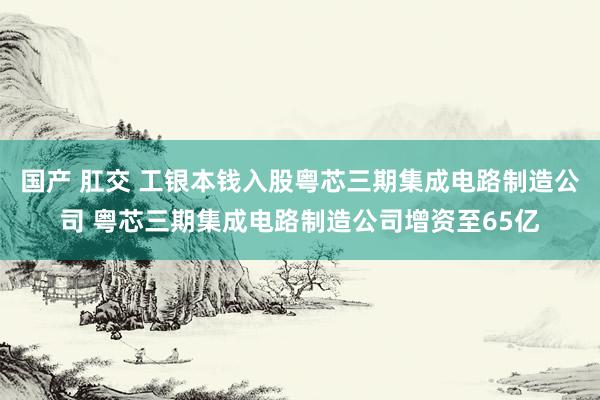 国产 肛交 工银本钱入股粤芯三期集成电路制造公司 粤芯三期集成电路制造公司增资至65亿