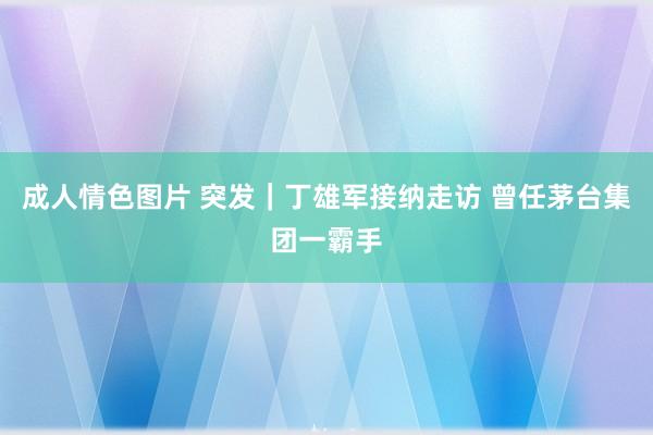 成人情色图片 突发｜丁雄军接纳走访 曾任茅台集团一霸手