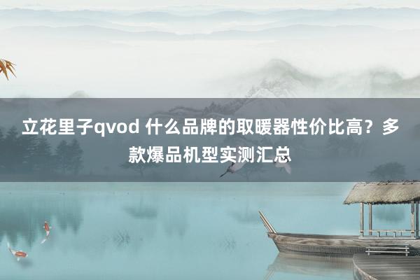 立花里子qvod 什么品牌的取暖器性价比高？多款爆品机型实测汇总