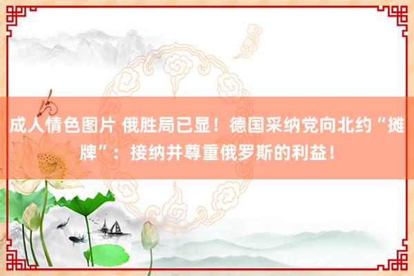 成人情色图片 俄胜局已显！德国采纳党向北约“摊牌”：接纳并尊重俄罗斯的利益！