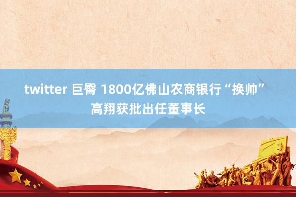 twitter 巨臀 1800亿佛山农商银行“换帅” 高翔获批出任董事长