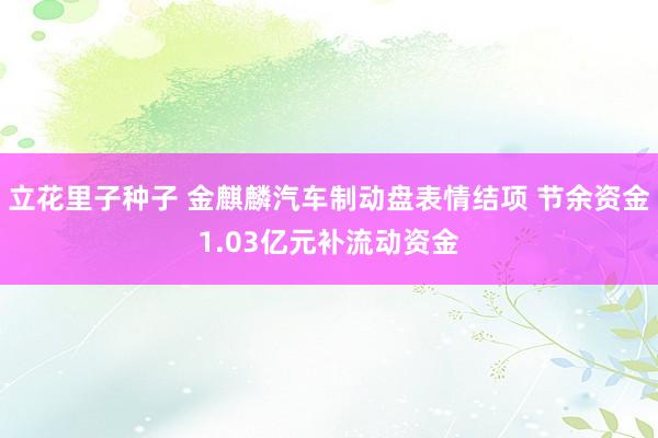 立花里子种子 金麒麟汽车制动盘表情结项 节余资金1.03亿元补流动资金