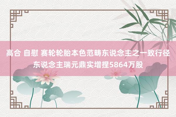 高合 自慰 赛轮轮胎本色范畴东说念主之一致行径东说念主瑞元鼎实增捏5864万股