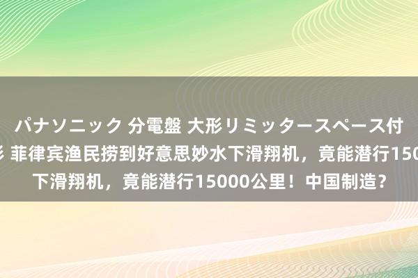 パナソニック 分電盤 大形リミッタースペース付 露出・半埋込両用形 菲律宾渔民捞到好意思妙水下滑翔机，竟能潜行15000公里！中国制造？