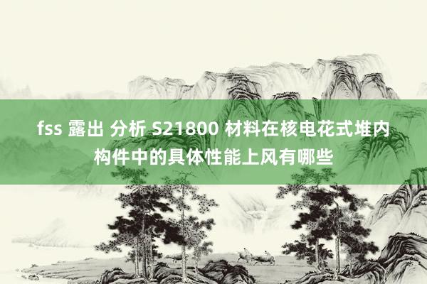 fss 露出 分析 S21800 材料在核电花式堆内构件中的具体性能上风有哪些