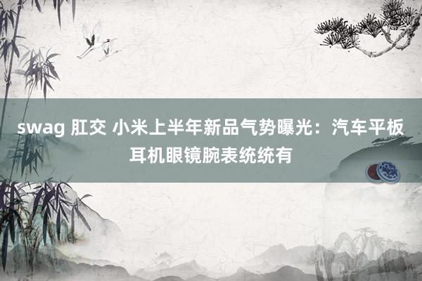 swag 肛交 小米上半年新品气势曝光：汽车平板耳机眼镜腕表统统有