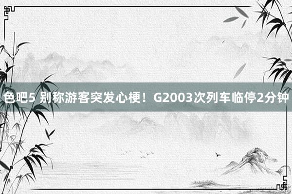 色吧5 别称游客突发心梗！G2003次列车临停2分钟