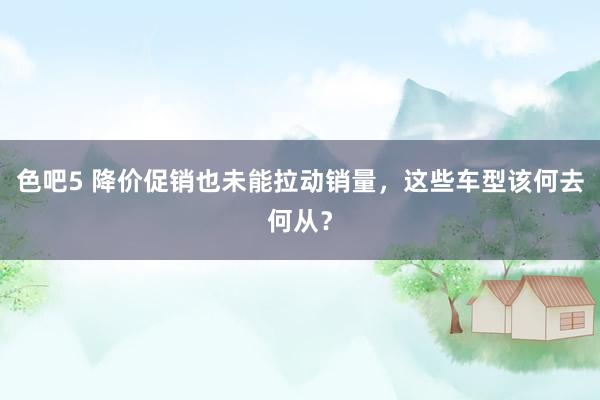 色吧5 降价促销也未能拉动销量，这些车型该何去何从？
