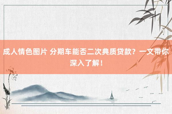 成人情色图片 分期车能否二次典质贷款？一文带你深入了解！