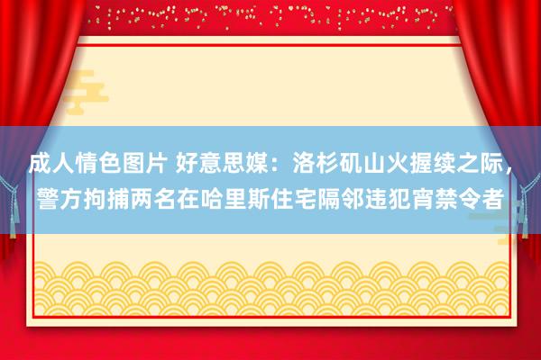 成人情色图片 好意思媒：洛杉矶山火握续之际，警方拘捕两名在哈里斯住宅隔邻违犯宵禁令者