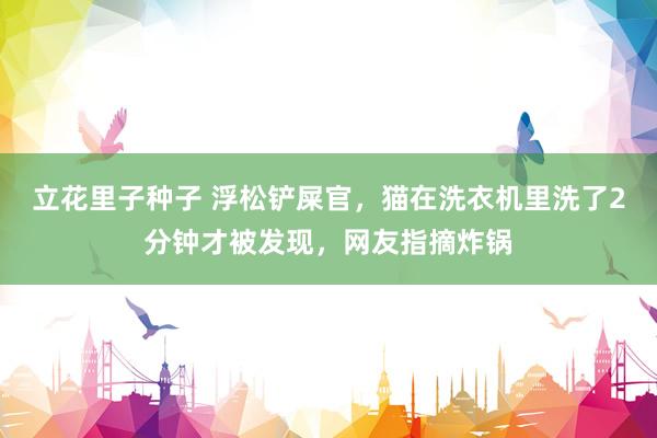 立花里子种子 浮松铲屎官，猫在洗衣机里洗了2分钟才被发现，网友指摘炸锅