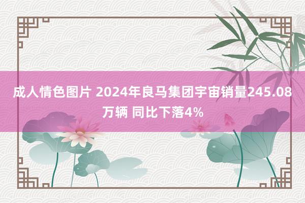 成人情色图片 2024年良马集团宇宙销量245.08万辆 同比下落4%