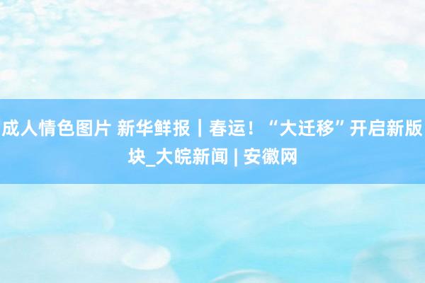 成人情色图片 新华鲜报｜春运！“大迁移”开启新版块_大皖新闻 | 安徽网