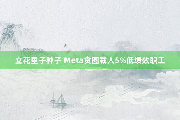 立花里子种子 Meta贪图裁人5%低绩效职工