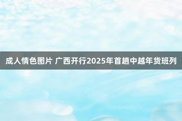成人情色图片 广西开行2025年首趟中越年货班列