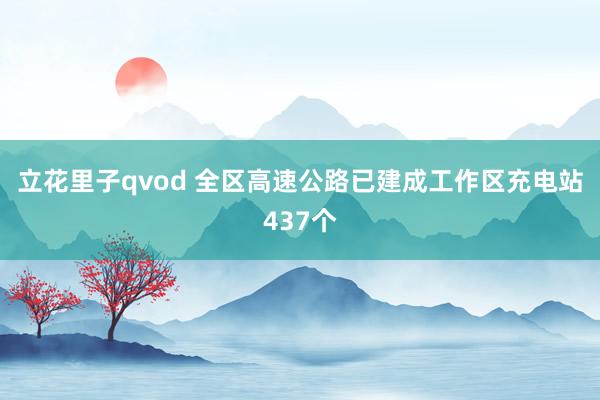 立花里子qvod 全区高速公路已建成工作区充电站437个