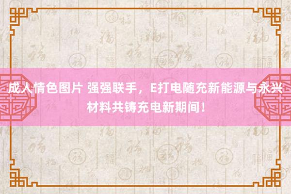 成人情色图片 强强联手，E打电随充新能源与永兴材料共铸充电新期间！