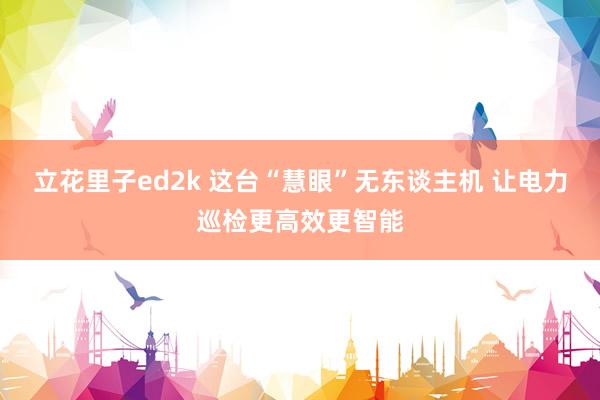 立花里子ed2k 这台“慧眼”无东谈主机 让电力巡检更高效更智能