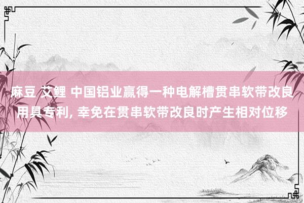 麻豆 艾鲤 中国铝业赢得一种电解槽贯串软带改良用具专利， 幸免在贯串软带改良时产生相对位移