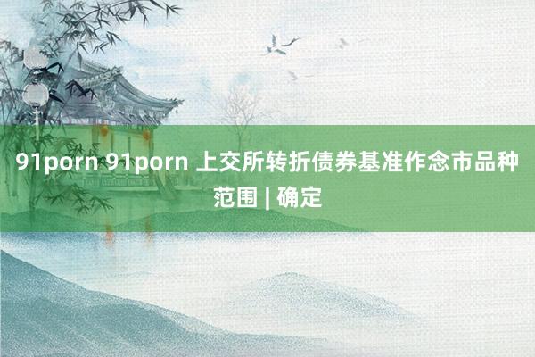 91porn 91porn 上交所转折债券基准作念市品种范围 | 确定