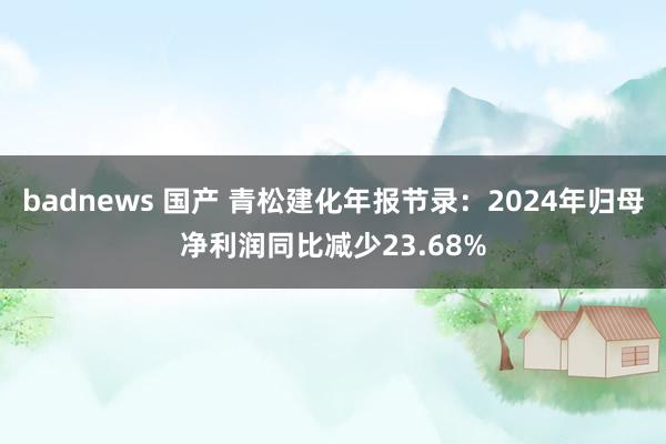 badnews 国产 青松建化年报节录：2024年归母净利润同比减少23.68%