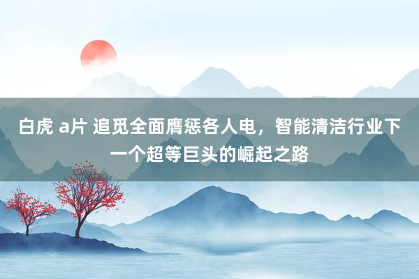 白虎 a片 追觅全面膺惩各人电，智能清洁行业下一个超等巨头的崛起之路