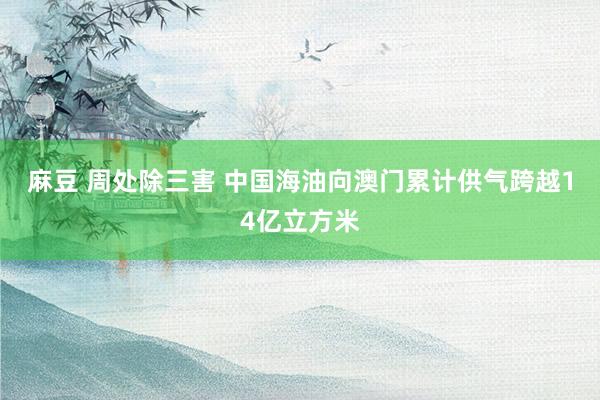 麻豆 周处除三害 中国海油向澳门累计供气跨越14亿立方米
