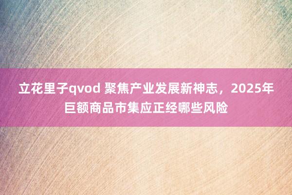 立花里子qvod 聚焦产业发展新神志，2025年巨额商品市集应正经哪些风险