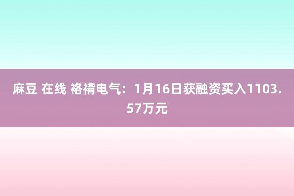 麻豆 在线 袼褙电气：1月16日获融资买入1103.57万元