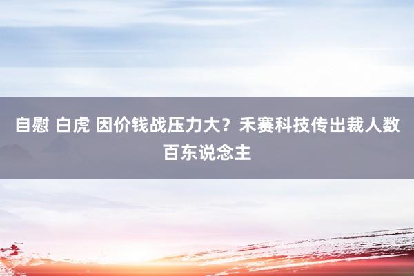 自慰 白虎 因价钱战压力大？禾赛科技传出裁人数百东说念主
