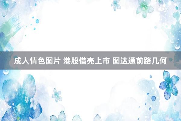 成人情色图片 港股借壳上市 图达通前路几何
