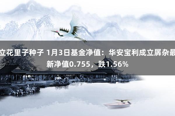 立花里子种子 1月3日基金净值：华安宝利成立羼杂最新净值0.755，跌1.56%