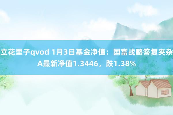 立花里子qvod 1月3日基金净值：国富战略答复夹杂A最新净值1.3446，跌1.38%