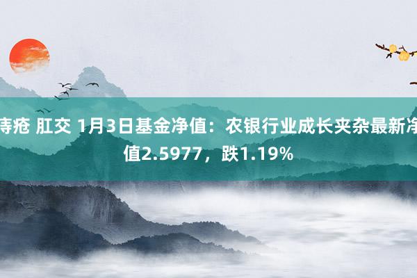 痔疮 肛交 1月3日基金净值：农银行业成长夹杂最新净值2.5977，跌1.19%