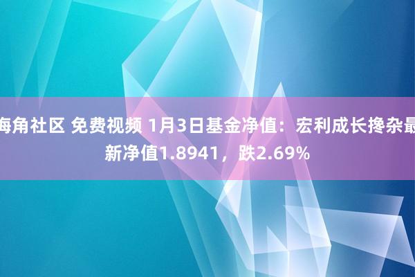 海角社区 免费视频 1月3日基金净值：宏利成长搀杂最新净值1.8941，跌2.69%