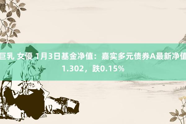 巨乳 女優 1月3日基金净值：嘉实多元债券A最新净值1.302，跌0.15%