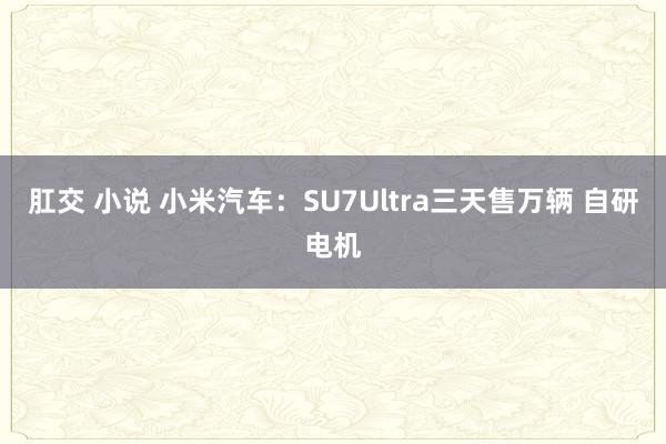 肛交 小说 小米汽车：SU7Ultra三天售万辆 自研电机