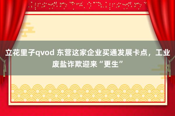 立花里子qvod 东营这家企业买通发展卡点，工业废盐诈欺迎来“更生”