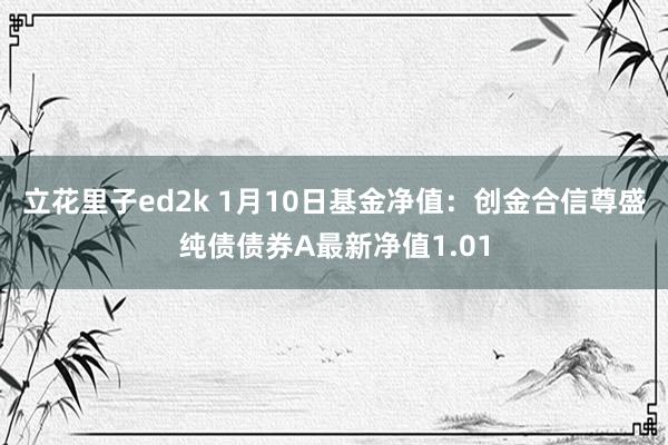 立花里子ed2k 1月10日基金净值：创金合信尊盛纯债债券A最新净值1.01