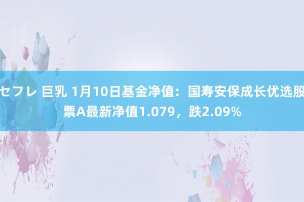 セフレ 巨乳 1月10日基金净值：国寿安保成长优选股票A最新净值1.079，跌2.09%