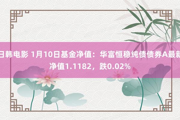 日韩电影 1月10日基金净值：华富恒稳纯债债券A最新净值1.1182，跌0.02%