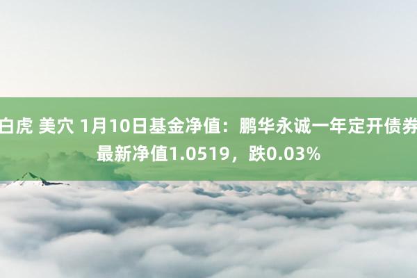 白虎 美穴 1月10日基金净值：鹏华永诚一年定开债券最新净值1.0519，跌0.03%